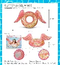 Pool Party Angel Wings Tube Rose Gold 2.webp