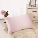 blissy-silk-pillowcase-queen-pink-2_7842dc8e-516e-4fe8-ba8b-2b7db5558051_800x800.webp