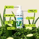 The Honey Pot Company Intimate Wash - Sensitive with Cucumber Aloe - 5.51 fl oz 4.webp