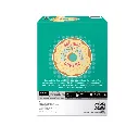 The Original Donut Shop®  Vanilla Cream Puff Coffee 24 Pods 249g 9.webp