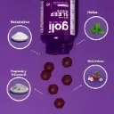 Goli: Dreamy Sleep Gummies - Lemon Balm Botanicals (60 Gummies )